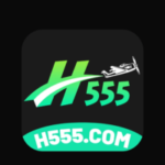 H555 Game
