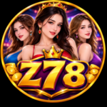 Z78 Game
